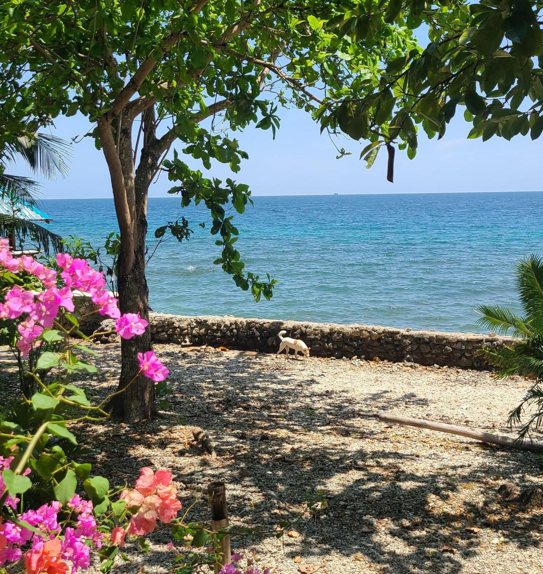 Paseo Del Mar Seaside Inn Jagna Kültér fotó