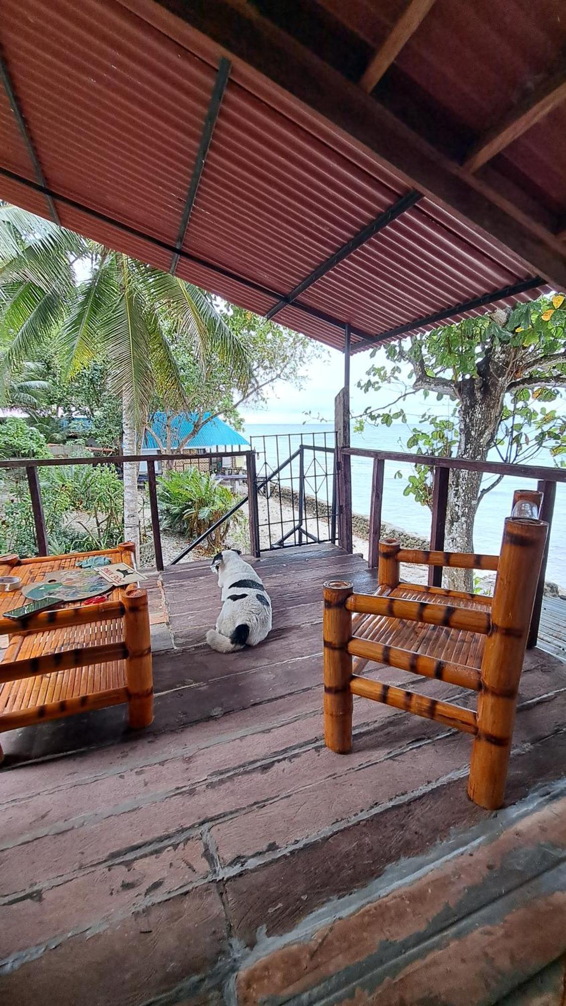 Paseo Del Mar Seaside Inn Jagna Kültér fotó