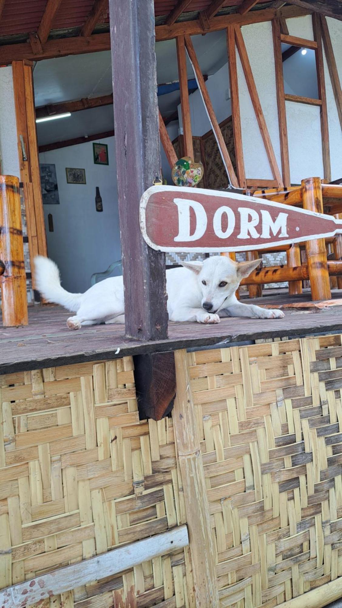 Paseo Del Mar Seaside Inn Jagna Kültér fotó